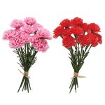 �ץƥ��������͡������ԥå�