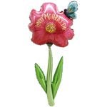 ��������ե����Х롼��ڥޥ������ǡ��֥롼���