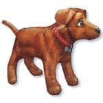 �ڥ������ѡۥ��˥ޥ�Х롼�󡡥�����ǥ��ȥ�С�