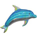 ��������ʪ�Х롼�󡡥���ǥ�����ȥ֥롼�ɥ�ե���