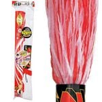 ��ˤ�Х���������2ȯ�Ĥ���