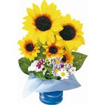 �ҥޥ�ꥦ�����֥������