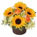 �Ҥޤ�ꥢ��󥸡ڹ���