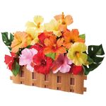 ����ե�ϥ��ӥ��������������