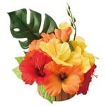 �ȥ��ԥ���ϥ��ӥ����������