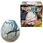 ���⤷�����þ޷��ʡ����ޤ����鶲ε������25������