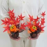 �̤�̣�Х�åס�2��1���å�