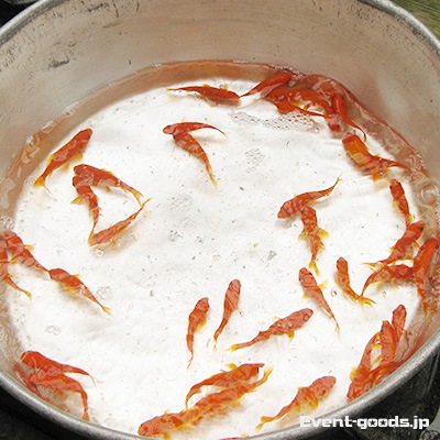 金魚すくい 🎉金魚すくい開催🎉 日時 8月15日（金） 8月16日（土） 8月17日