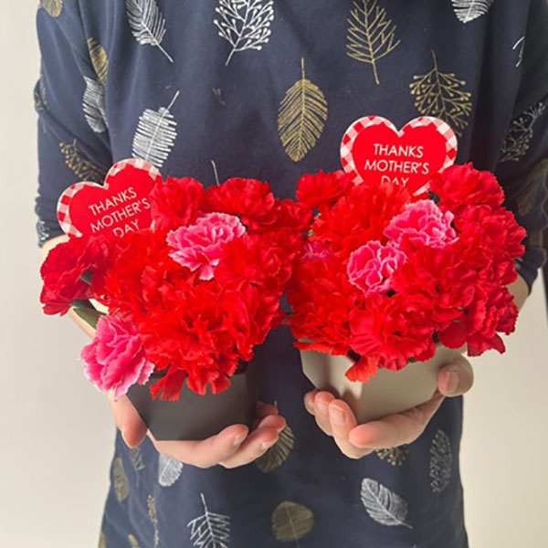 �������������͡������ݥåȡ�2�����åȡ�