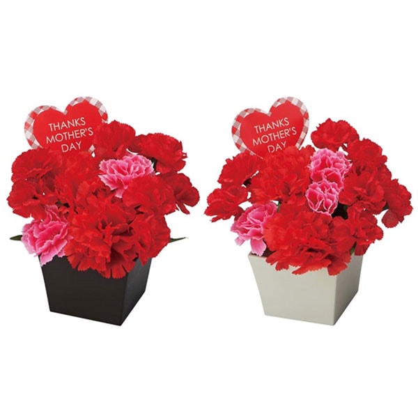 �������������͡������ݥåȡ�2�����åȡ�