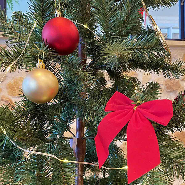 ����������ɥĥ꡼���åȡڥ�åɡ�