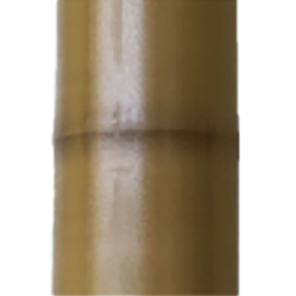 �������Τܤ���ѡ��ݡ��롡���� �㿧