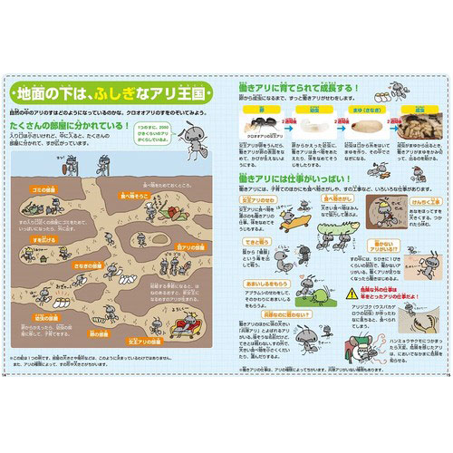 �դ����ι�Υ���Τ��ϥ���