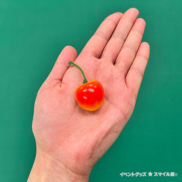 クリームソーダ作り | 6.手作りワークショップ,手作りキット
