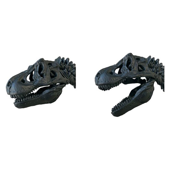 ティラノサウルス骨格模型＆ポスター | 6.手作りワークショップ