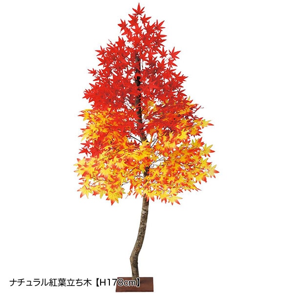 紅葉のドラマチックな耳飾り c5fd75c4a50efc59ce1b0ac786d043