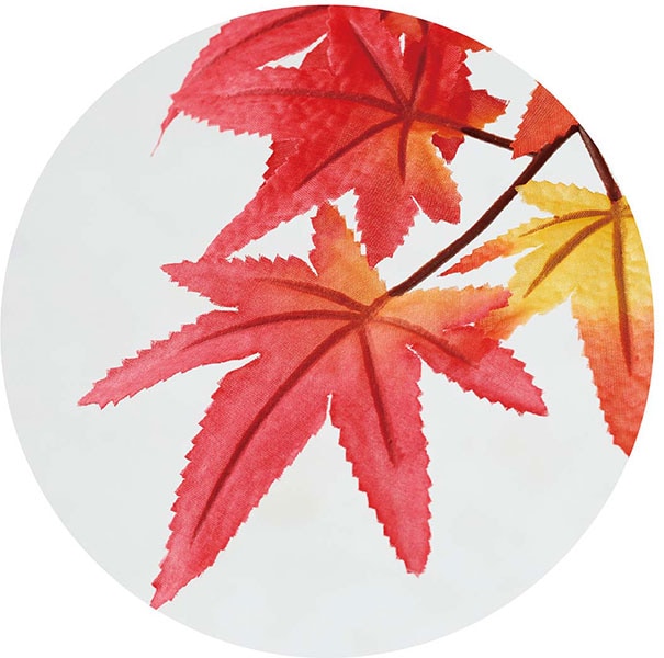 紅葉のドラマチックな耳飾り 61EmIQFNGnL._UF350,350_QL50_.jpg