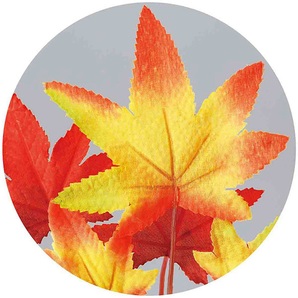 紅葉のドラマチックな耳飾り c5fd75c4a50efc59ce1b0ac786d043