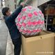 �ڥ����ȥ�å��ʡۥӥˡ���¤�֤����̡ڥԥ󥯡����ľ��90cm