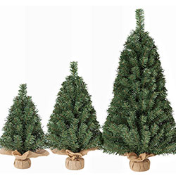 �ߥ˥�åץĥ꡼�ʥ��꡼��ˡ�