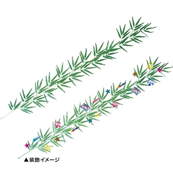 �Х�֡���������