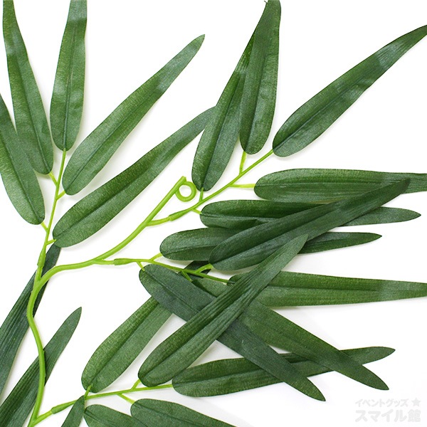 �Х�֡���������