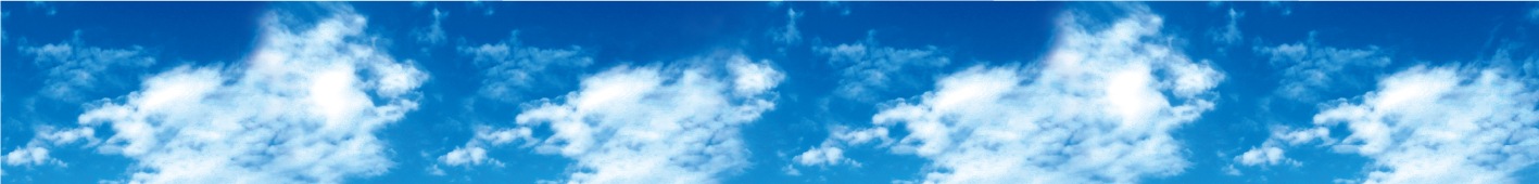 �ǥ����ץ쥤������ �������롡��