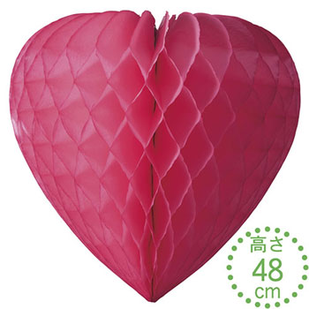 �ϥ˥���ϡ���