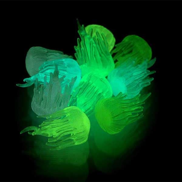 光るクラゲセット 黄緑