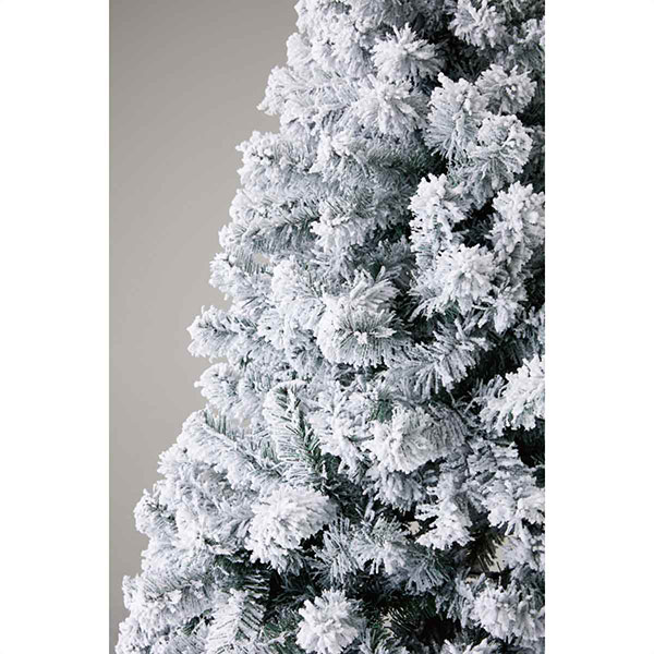 ���������١��� �̡��ɥĥ꡼ �ڥ��Ρ���