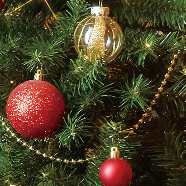 �ݥåȥ饤�ȥĥ꡼�ڥ�åɡ�