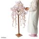 �������Ω����