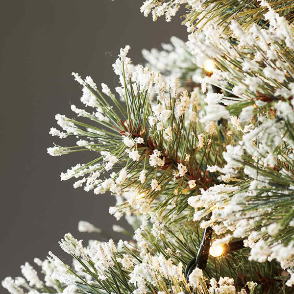 ̡ɥ֥饷ĥ꡼LED饤դ