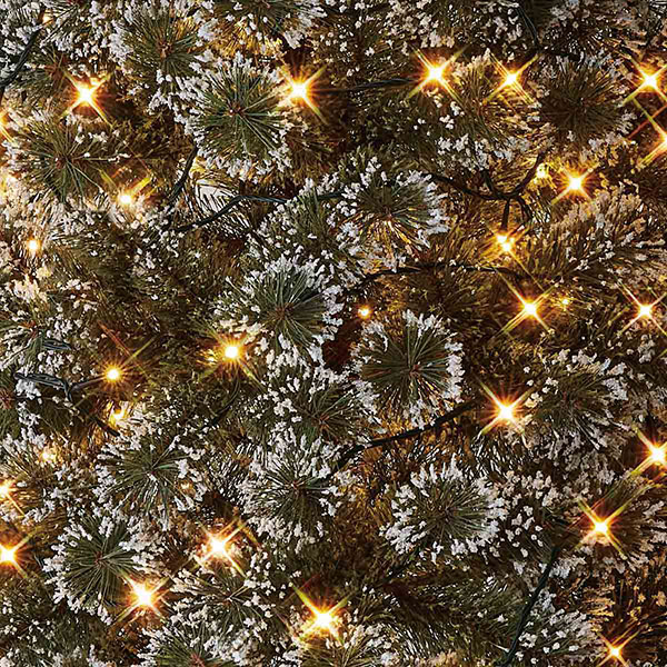 ̡ɥ֥饷ĥ꡼LED饤դ