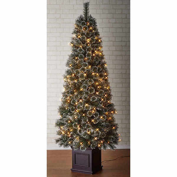 ̡ɥ֥饷ĥ꡼LED饤դ