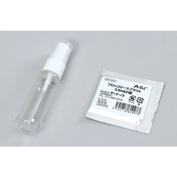 ��̺��ݤǥ֥��å��꡼���ץ饦�Ȥ��Ƥ褦