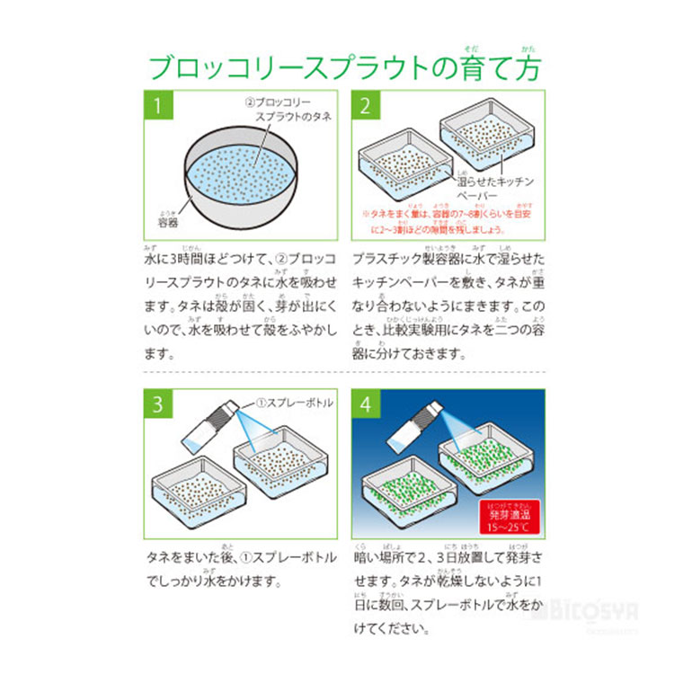 ��̺��ݤǥ֥��å��꡼���ץ饦�Ȥ��Ƥ褦