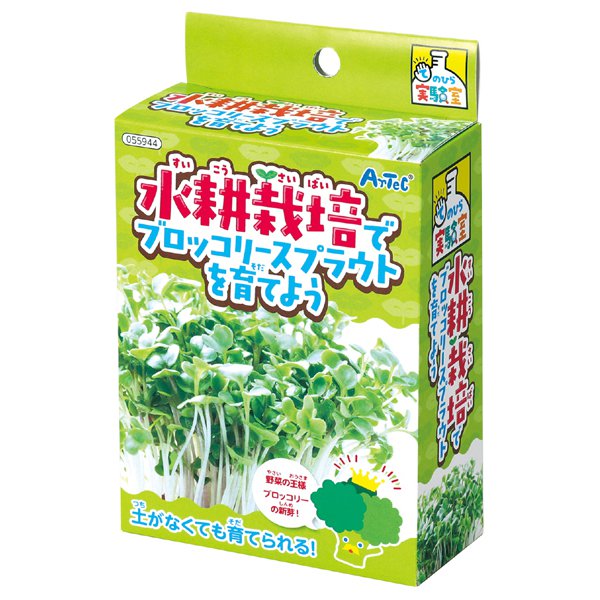 ��̺��ݤǥ֥��å��꡼���ץ饦�Ȥ��Ƥ褦