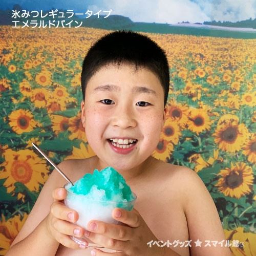 ɹ  ɹߤġʥ쥮顼1.8L8ܥå