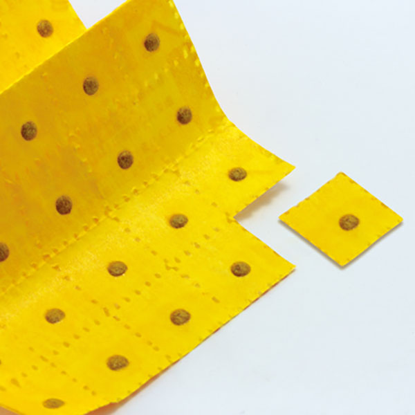 �ߥ���ɡ�100ȯ����