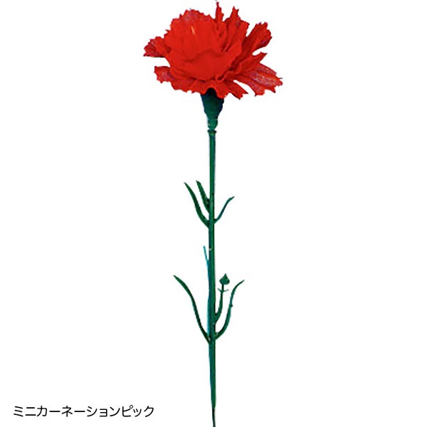 スプレイカーネーション（120本セット） | 5.イベント装飾用品