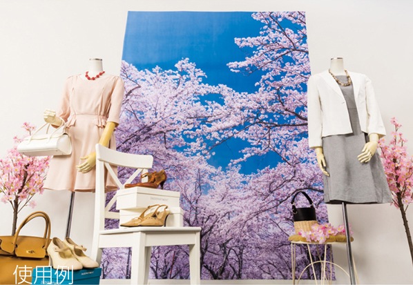 �Хå������꡼�󥷡��ȡں���