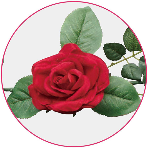 �٥�٥åȥ�������������