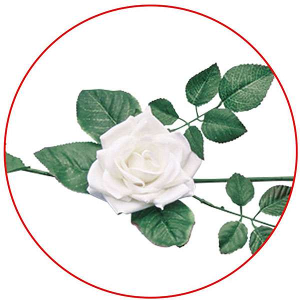 �٥�٥åȥ�������������