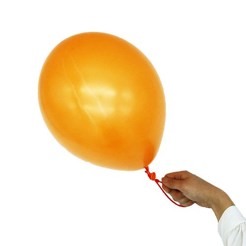 �Х롼���󥰥��ƥ��å���L24cm����ۡ�100������