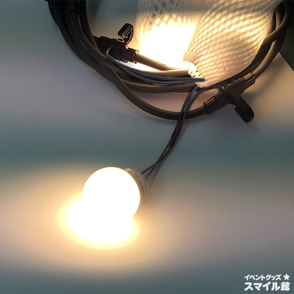 פ LEDŵηɡڲѡɿ奿ס)Ϣǽ