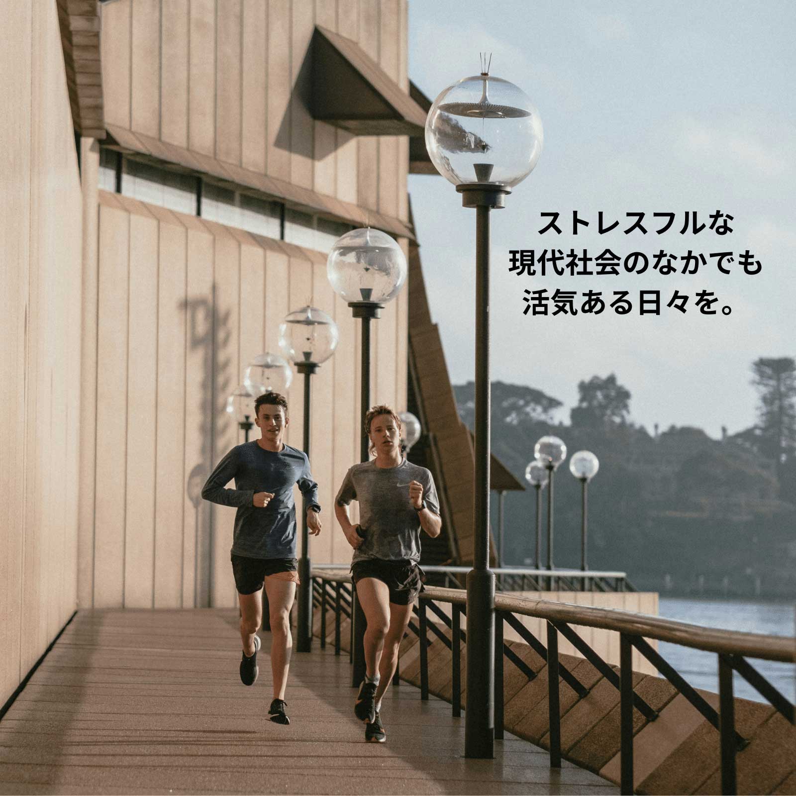 312 ル ファージュ Le Phagie 