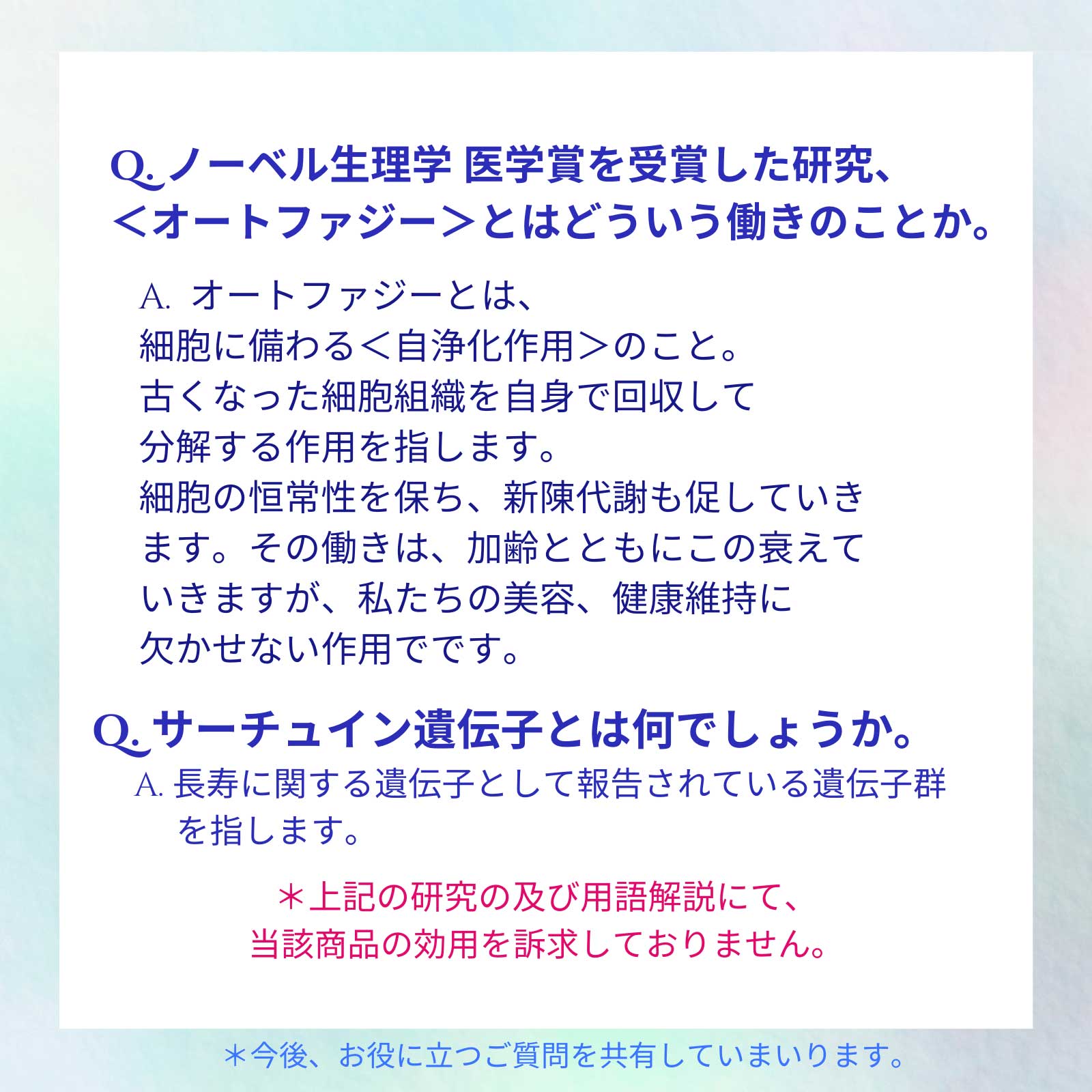 312 ル ファージュ Le Phagie 