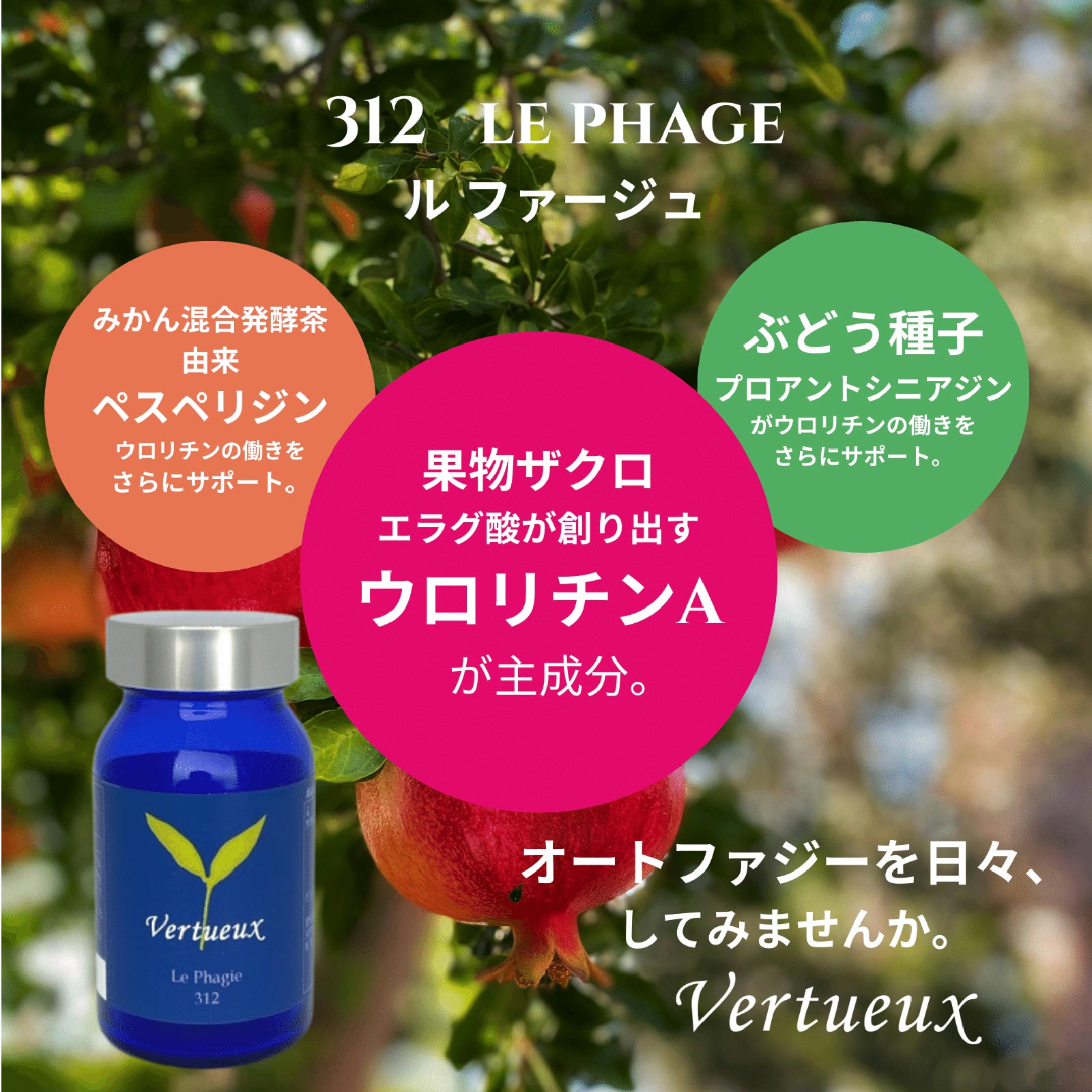 312 ル ファージュ Le Phagie 