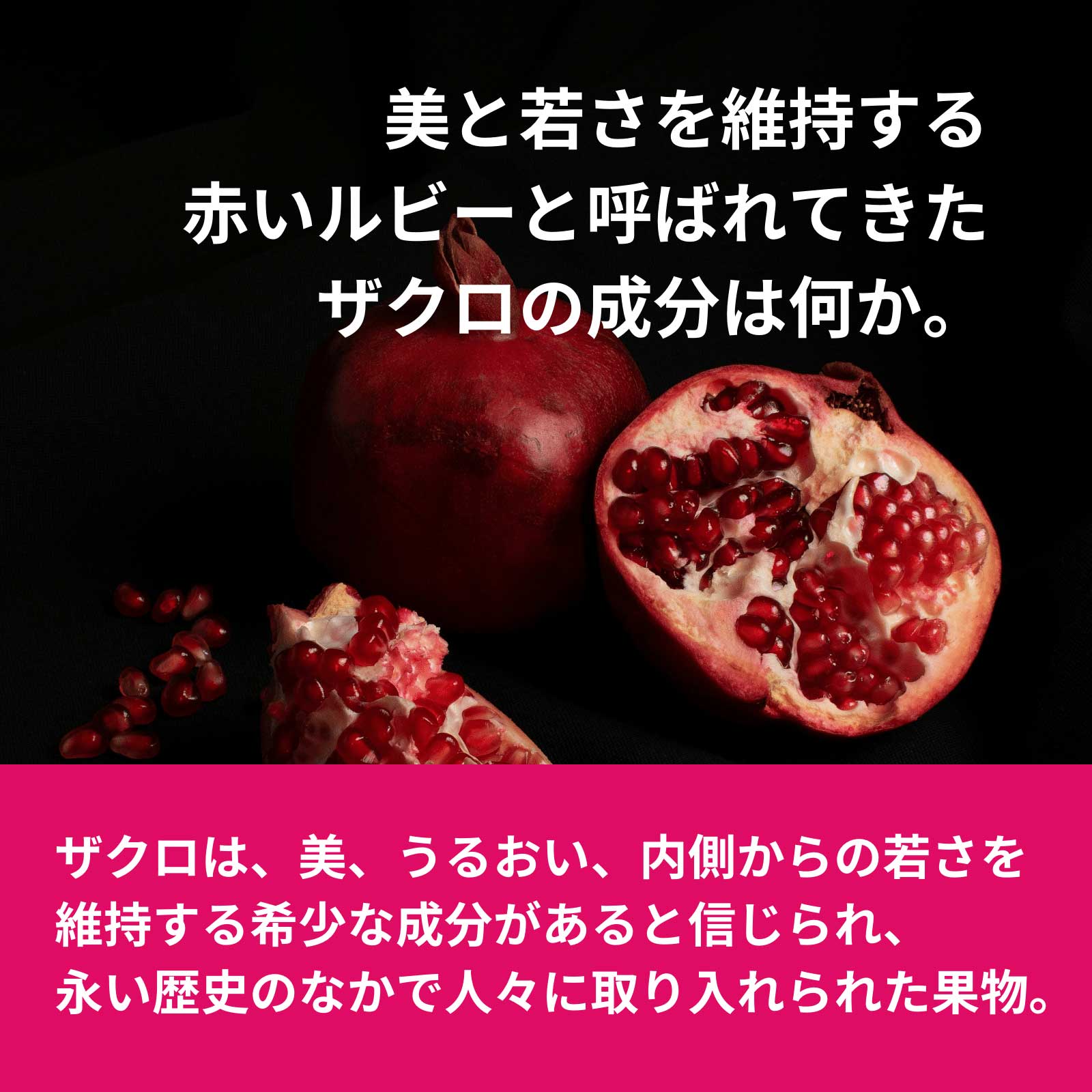 312 ル ファージュ Le Phagie 